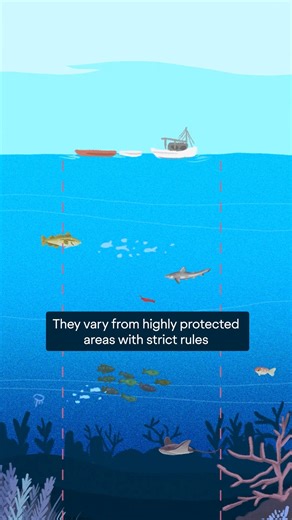 In the Pacific, there’s a Marine Protected Area roughly the size of California called the Phoenix Islands Protected Area (PIPA). MPAs are one of the most powerful tools science has shown can strengthen biodiversity, help ecosystems recover, and sustain fish stocks and coastal economies. Our work supports these outcomes by generating data and conducting high-resolution seafloor mapping, submersible biodiversity surveys, and water column sampling that provide baseline data on species distribution,