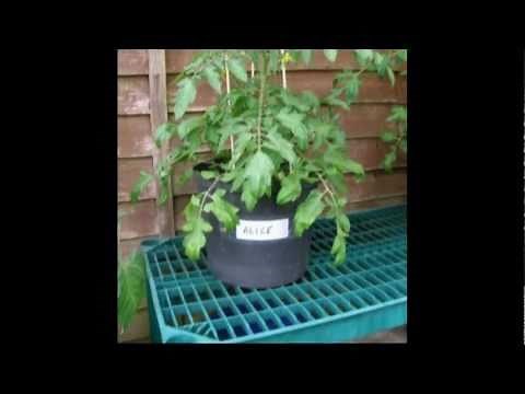 Tumbling Toms - Final Positions