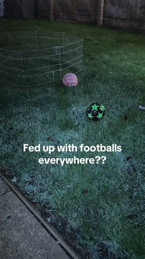 Football Storage Solutions for All Your Gear