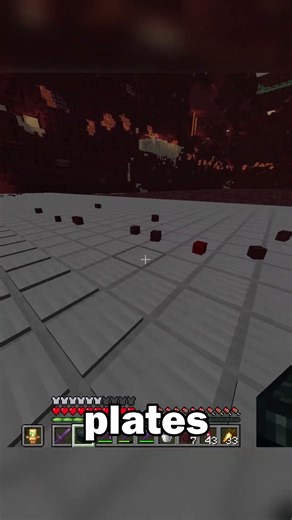 Nether Perimeter Project