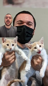 Dogs get all the spotlight.. It’s time cats did too. 😻 CatBox is the monthly subscription box made just for cats - because our feline friends deserve more than just the same old boring stuff sold everywhere. Inside every CatBox, your cat gets: 😻 3 handmade catnip toys they’ll actually play with 🥫 2 gourmet treats made just for cats 📦 1 perfect box for their royal lounging CatBox was built for cats who rule the house, and the humans who know it. It's time cats got their moment too - all pets 