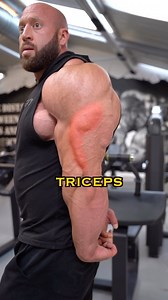 114K views · 5.5K reactions | TRICEP DIPS - tips for lateral head  ——————————————————————— #gym #gymtips #workouttips #gymworkout #triceps #tricepsdips #gymbeam #gymbeamhr | Petar Klančir IFBB Pro | Facebook