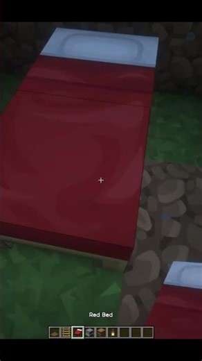 Minecraft Smallest House 🛖 #minecraft #shorts