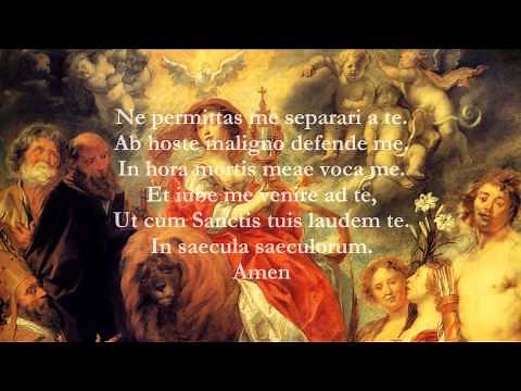 Catholic Prayers - Anima Christi, Latin
