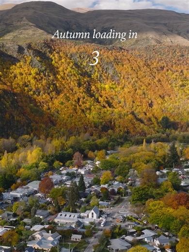 Experience the Golden Autumn in Queenstown