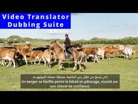 No Budget? No Problem! FREE AI Powered Magic for Video Translation & Dubbing