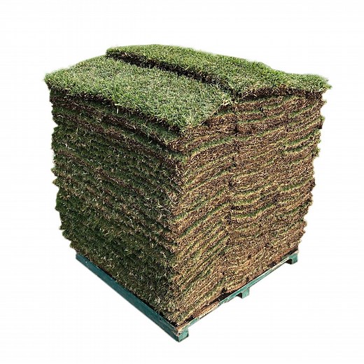 Sir Walter DNA Certified Buffalo 50m² Soft Leaf Buffalo Turf - Pallet