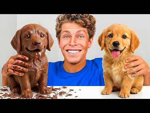 CHOCOLATE or REAL Challenge!