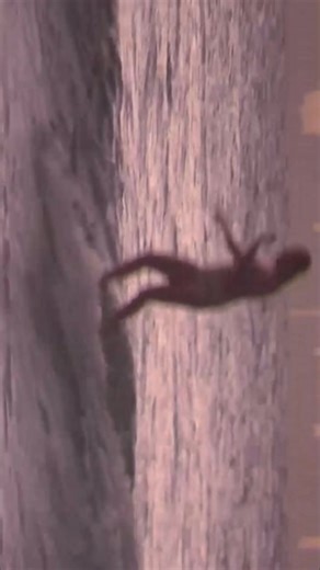 Surfin 🪩🤠🫶🏼 @taylah_mckenzie @tiggyink