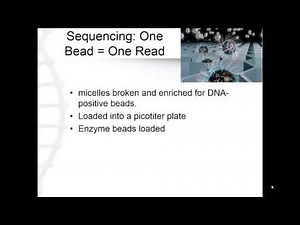 Pyrosequencing 454 (4.2)