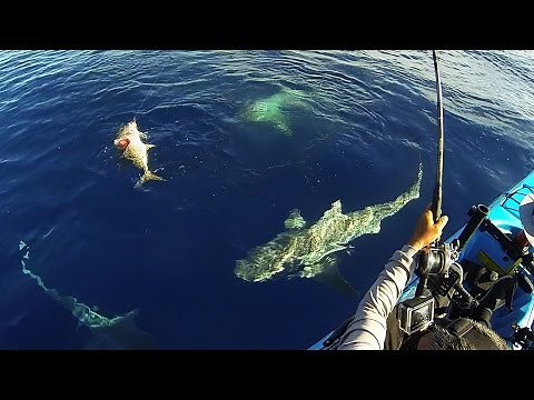 Keys Kayak Fishing - That Escalated Quickly