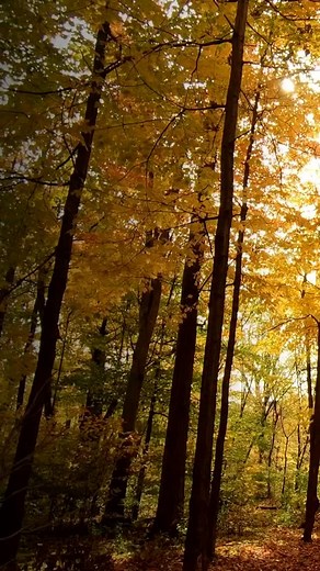 185 reactions · 6 comments | November 3 The ways of the LORD are...