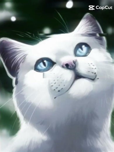 Édit Flocon de neige - Cloudtail edit #warriorcats #laguerredesclans #edit #lgdc #laguerredesclans
