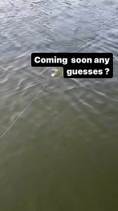 5 MONTHS OUT! | Livingston Lures