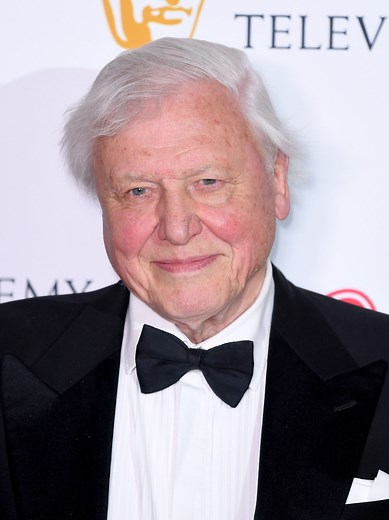 David Attenborough’s new nature doc starts this weekend – here’s the exact date you can watch it