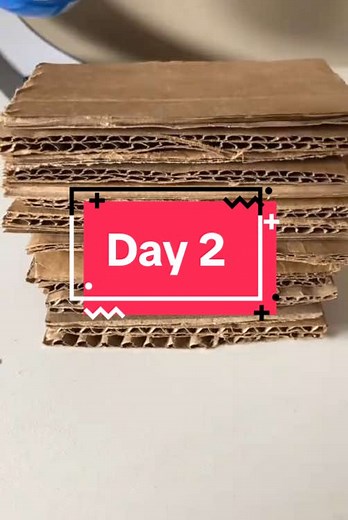Building a Cardboard Tower: Day 2 Progress Update