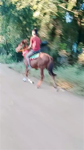 #💯💯💯💯💯💯💯💯💯💯💯💯