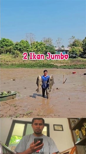 2 Jumbo Fish