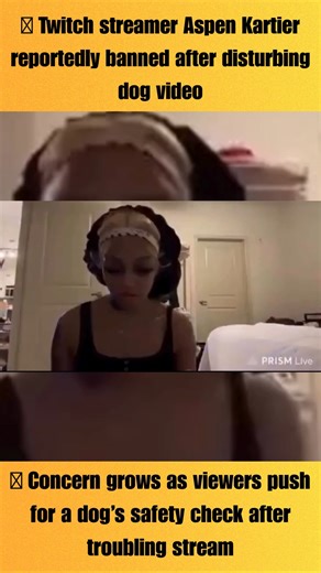 Paul Mueller on Instagram: "🐾 Twitch streamer Aspen Kartier "allegedly" beat her dog mistreated a dog during a livestream, based on clips that quickly spread online. 🐶 In a follow-up video posted to her own social media, Kartier shows the dog on camera and tells the dog to “tell the people that you’re fine,” later adding “you’re for sale” and calling the dog “so dramatic” after it barks. She has insisted publicly that the dog is simply dramatic. The story is developing. Stay tuned for more inf