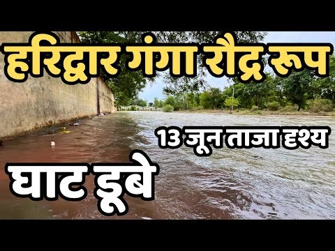 हरिद्वार: श्रद्धालू भागने लगे | गंगा मे सांप || होटल,घाट || आने वाले जरूर देखें haridwar live today