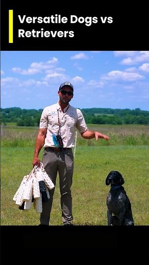 Using Hand Signals with Versatile Dogs