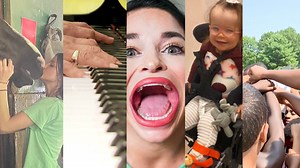 4.8K views | Your Top 5 #FeelGoodStories 1. They saved each other’s lives 2. Volunteer piano man 3. TikTok Star world record 4. Riding through ailments 5. Uncle Roy Watch “On A Positive Note” Fridays at 7:00 p.m. and Saturdays at 10:30 a.m. on News 12 for more inspiring stories! | News 12 | Facebook