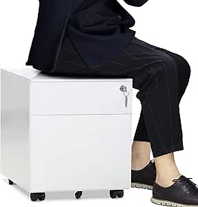 2 Drawer Mobile File Cabinet with Lock Metal Filing Cabinet for Legal/Letter/A4/F4 Size - Fully Assembled Include Wheels - Home/Office Design (White)
