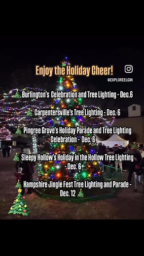 Enjoy the holiday tree lightings! #exploreelgin #treelighting #christmas #holidays #enjoyillinois | Explore Elgin Area