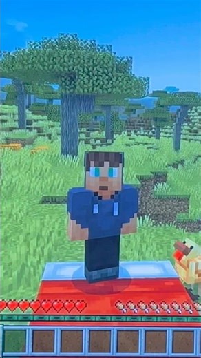 Minecraft loop 🔁 #minecraft #gaming #nintendo #meme #shorts