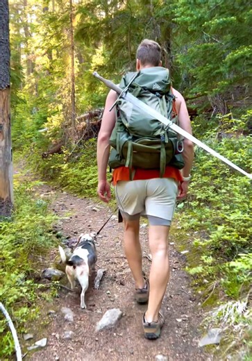 Exploring Historical Fencing Adventures with Swords