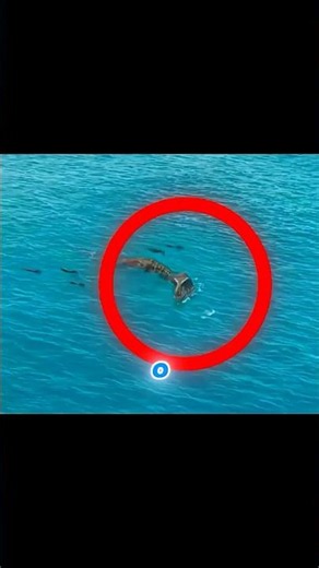 The story of this T-REX family will SHOCK you! #curiosities #viral #dinosaur