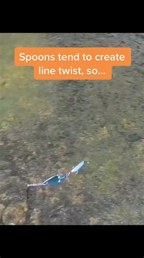 Spoons in Fishing: Tips for Success