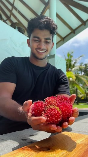 Wild Cookbook on TikTok