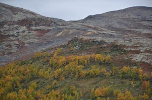 Playfair Mining: New CARDS targets identified at RKV Project, Norway