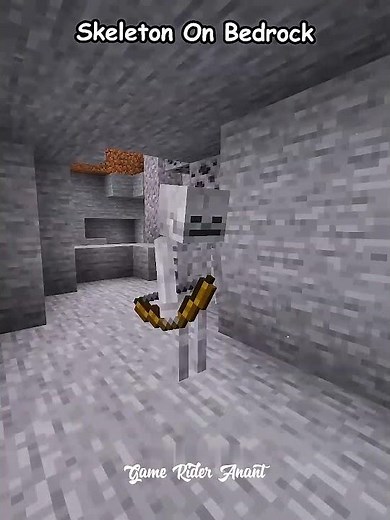 Minecraft Java vs Bedrock: Ultimate Skeleton Battle! 💀🔥