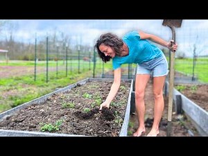 This ONE THING Changed EVERYTHING for Our Garden
