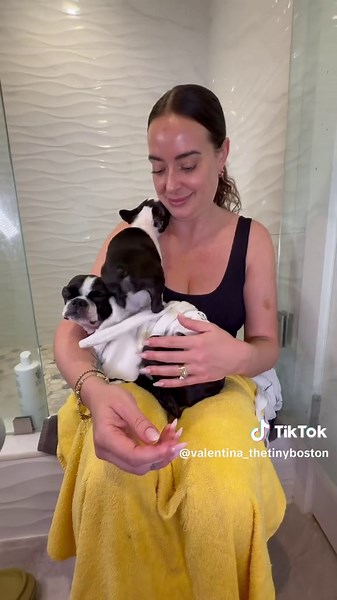 Bath time with my sister 🐶 #dog #bath #bostonterrier #valentinathetinyboston #pet