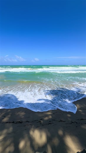 Experience Tropical Beach Vibes with Ocean Sounds