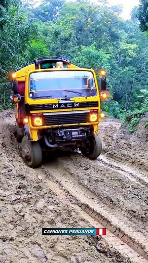 De estos camiones 4x4 nesecitamos en la selva peruana | Camiones Peruanos
