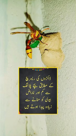 Doctors Research 😁 #funny #comedy #funnyreels 12p | P for Prank