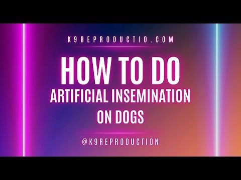 How to Perform Artificial Insemination in Dogs | Step-by-Step Guide