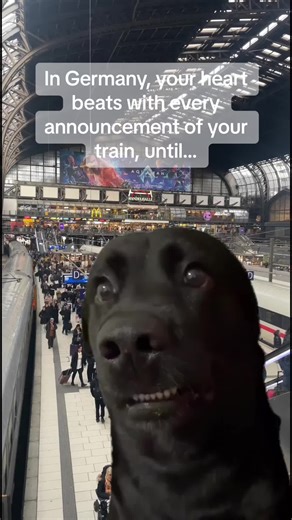 Heart-Pounding Train Journey from Hamburg to Berlin