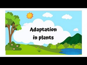 Adaption in plants| What is ADAPTATION?|Terrestrial Plant & Aquatic Plant| Plants Habitat