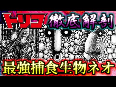 【トリコ】食物連鎖の頂点に立つラスボス ネオ ゆっくり解説
