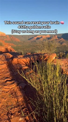 🌊 This sound can reset your brain. Most “healing music” online feels nice… but the real frequencies are buried under layers of sound — so your body never actually receives the benefit. These tones are different. They’re built using the Golden Ratio (1.618…) — the same mathematical pattern found in seashells, galaxies, flowers, pinecones, and even your DNA. Here’s why they feel so powerful: ✨ Your brain recognizes the ratio. The Golden Ratio appears everywhere in nature, so your system instantly