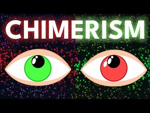 Signs There Might Be Someone Else Inside You 🧬