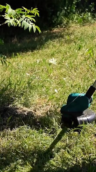 LXT Line Trimmer: Effortless Precision for Your Garden