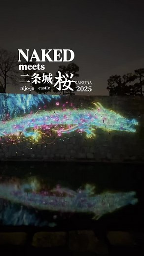 二条城で体験する幻想的なプロジェクションマッピング