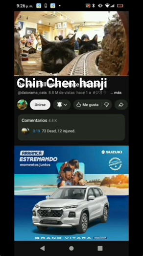 los gatos chin Chen hanji