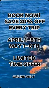 27 reactions |  Your Next Dive Adventure Awaits! 錄 Escape to Key Largo this spring and dive into vibrant reefs and thrilling wrecks! ✨ Enjoy 20% OFF all dives on these dates:  April 1-8  May 1-8 Your underwater adventure is calling—don’t miss out!  Book now at rainbowreef.com and make unforgettable memories! #scuba #scubadiving #diving #floridakeys #keys | Rainbow Reef Dive Center | Facebook